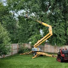 Best Leaf Removal  in Floris, VA
